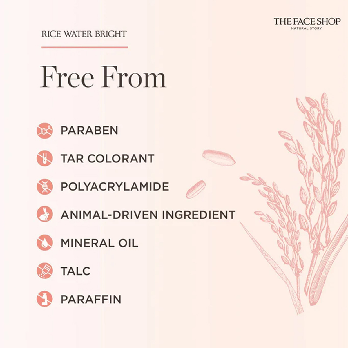 THE FACE SHOP RICE WATER BRIGH - огляд і ціна Luxury Skincare Aesthetic